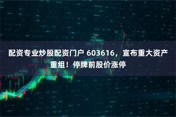 配资专业炒股配资门户 603616，宣布重大资产重组！停牌前股价涨停