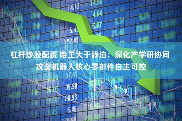 杠杆炒股配资 哈工大于静泊：深化产学研协同 攻坚机器人核心零部件自主可控